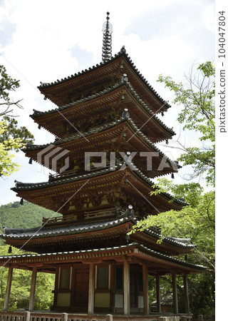 Five-storied pagoda Kaijusenji Temple 104047804