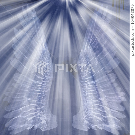Angel Wings Angel Wings 104048879