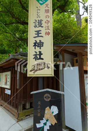 Go'o Shrine, the guardian deity of the legs, young leaves and fresh greenery 104049126