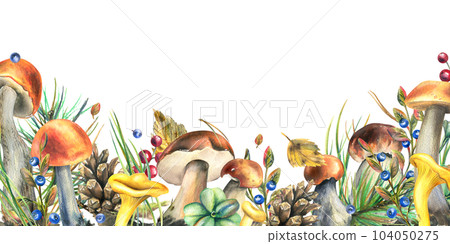Forest mushrooms, boletus, chanterelles and blueberries, lingonberries, twigs, cones, leaves. Watercolor illustration, hand drawn template on a white background Forest mushrooms, boletus, chanterelles and blueberries, lingonberries, twigs, cones, leaves. Watercolor illustration, hand drawn template on a white background 104050275