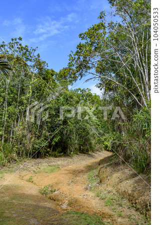 Old deteriorated dirt road full of stones and holes 104050533