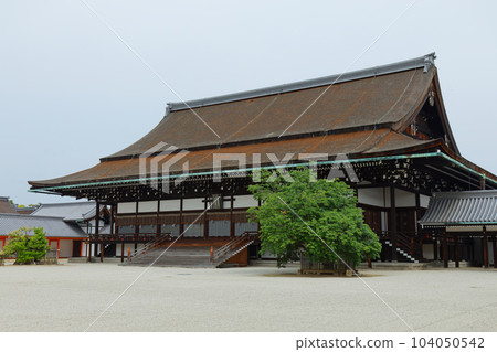 京都御所Shishinden新鮮的綠葉 京都御所Shishinden新鮮的綠葉 104050542