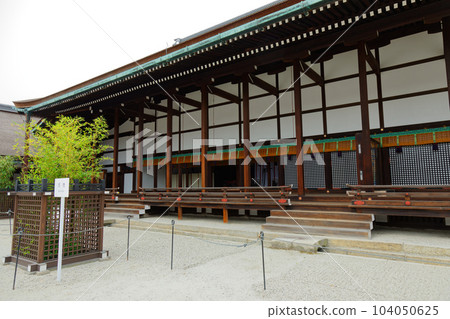 京都御所青草殿新鮮的綠葉 104050625