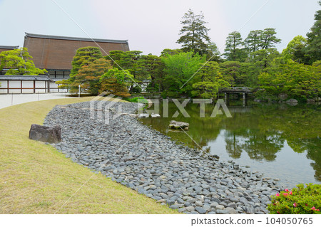 Kyoto Imperial Palace Oikeniwa Ouchiniwa Young leaves and fresh greenery Kyoto Imperial Palace Oikeniwa Ouchiniwa Young leaves and fresh greenery 104050765