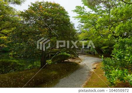 The inner garden of the Kyoto Imperial Palace, Nishikidai, fresh green leaves The inner garden of the Kyoto Imperial Palace, Nishikidai, fresh green leaves 104050972