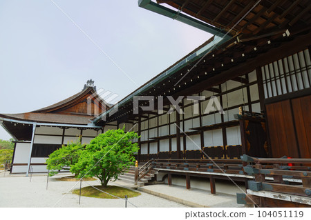 京都御所大常宮新綠葉 京都御所大常宮新綠葉 104051119