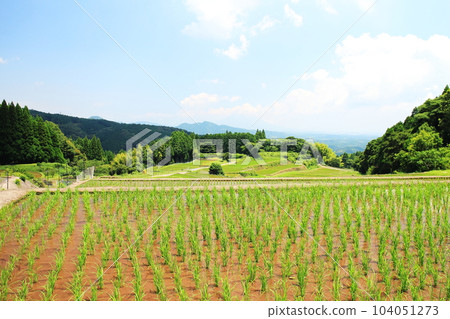八重梯田風光 八重梯田風光 104051273
