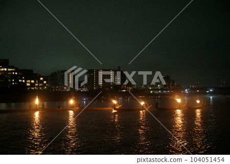 Nagara River Cormorant Total View 104051454