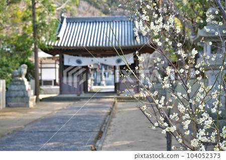 【藥栗寺】（四國聖地第85號复田所）香川縣高松市無禮町無禮 104052373