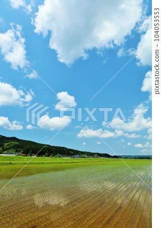 秋田縣:藍天白雲的稻田景觀 秋田縣:藍天白雲的稻田景觀 104053553