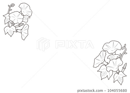 Morning glory drawing 104055680