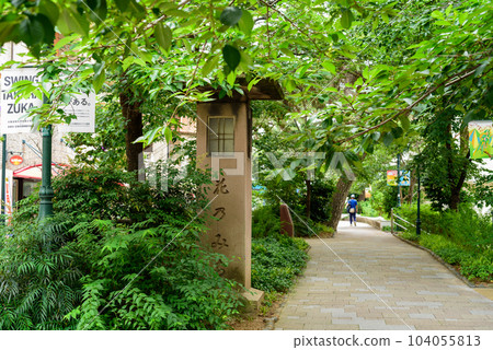 花Michi 花Michi 104055813