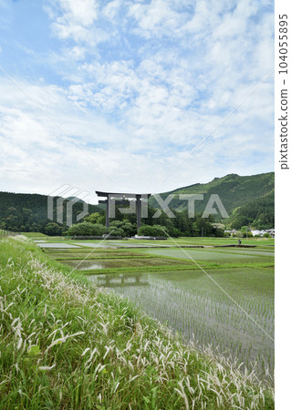 Oyunohara Otorii (Paddy field) [Hongu-cho, Tanabe City, Wakayama Prefecture] 104055895