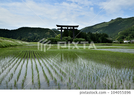Oyunohara Otorii (Paddy field) [Hongu-cho, Tanabe City, Wakayama Prefecture] 104055896