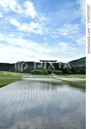 Oyunohara Otorii (Paddy field) [Hongu-cho, Tanabe City, Wakayama Prefecture] 104055897
