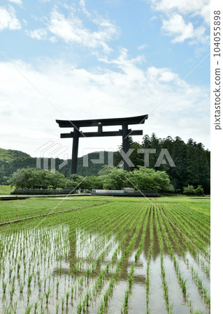 Oyunohara Otorii (Paddy field) [Hongu-cho, Tanabe City, Wakayama Prefecture] 104055898