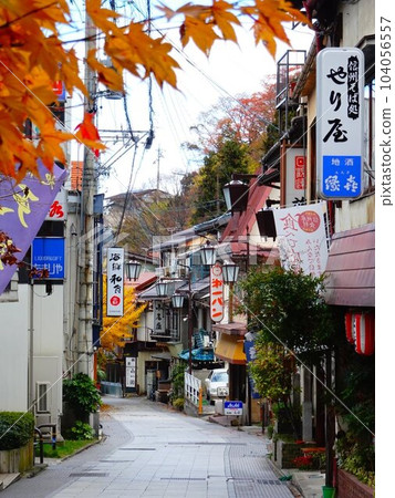 長野縣山之內町澀溫泉風光 104056557