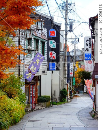 長野縣山之內町澀溫泉風光 104056558