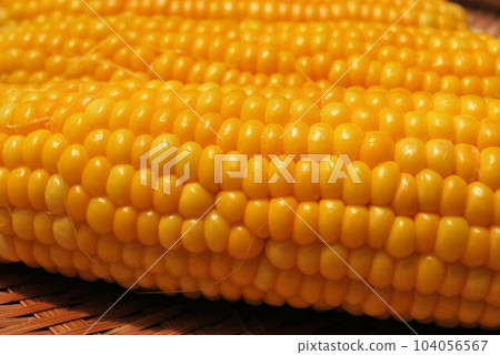 hot boiled corn hot boiled corn 104056567