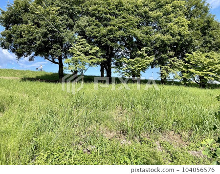 Bicycle running along the bank 104056576