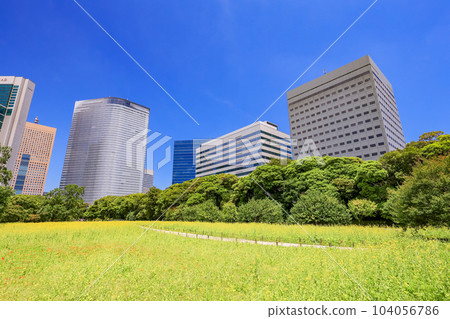 Tokyo's peaceful space, Hama-rikyu Gardens, and skyscrapers over the fields of early summer rape blossoms Tokyo's peaceful space, Hama-rikyu Gardens, and skyscrapers over the fields of early summer rape blossoms 104056786