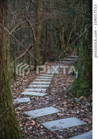 Forest Road Forest Road 104057553