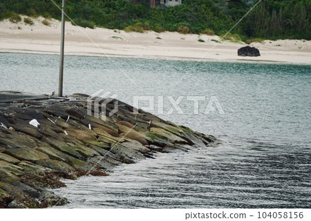 beautiful seascape beautiful seascape 104058156