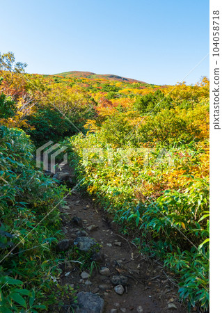 栗駒山秋季登山（Ubanuma路線） 104058718