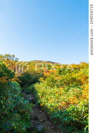 栗駒山秋季登山（Ubanuma路線） 104058719