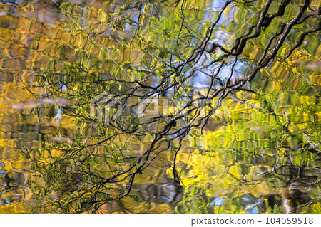 Natural scenery reflected on the surface of the water 104059518