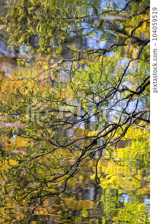 Natural scenery reflected on the surface of the water 104059519