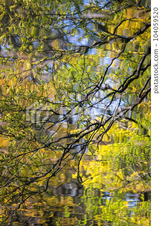 Natural scenery reflected on the surface of the water 104059520
