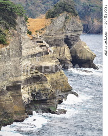 靜岡縣 堂島 從人行道上看到的蛇島景色 2 月 靜岡縣 堂島 從人行道上看到的蛇島景色 2 月 104059555