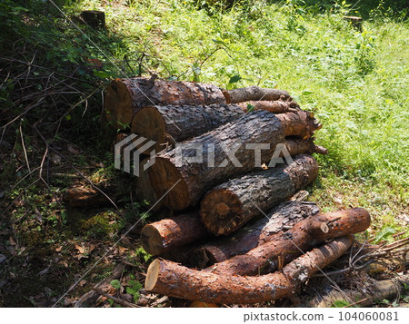 stacked logs stacked logs 104060081