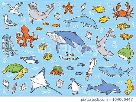 帶有白色邊框的海洋生物插圖集 104060447
