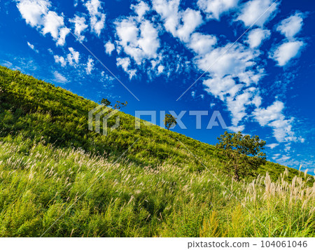 [Oita Prefecture] Mt. Yufu in autumn around October Yufuin 104061046