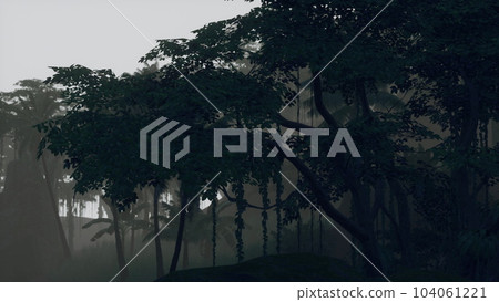 Roots of exotic trees with thicket of shrubs and ferns against sunlight 104061221