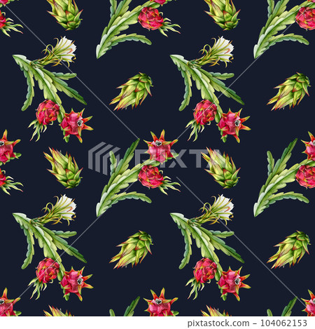 Dark watercolor pitaya cactus branches with red dragon fruits and flowers seamless pattern on blue background. Realistic botanical drawing of exotic growing tropical plants 104062153