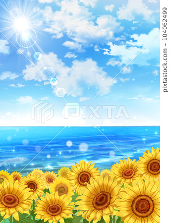 向日葵田、海和太陽發光藍天 104062499