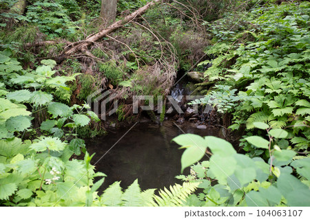 Very beautiful scenery of Mt. Hanami in Niimi City, Okayama Prefecture, Japan 104063107