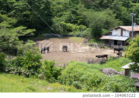 Very beautiful scenery of Mt. Hanami in Niimi City, Okayama Prefecture, Japan 104063122