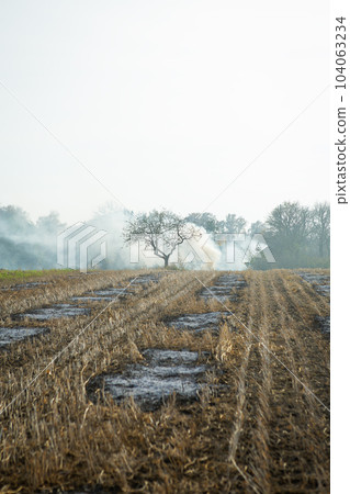 Autumn cleaning work, burning dry grass in the garden. 104063234
