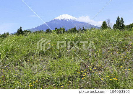 御殿場稻田和富士山 104063505