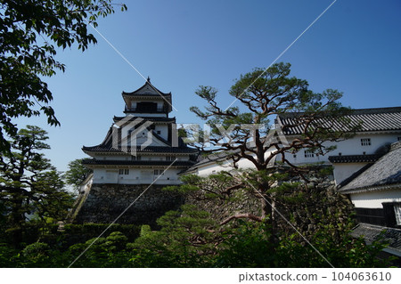 高知城堡在初夏 104063610