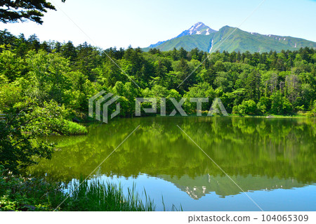 春天 利尻島姬沼 104065309