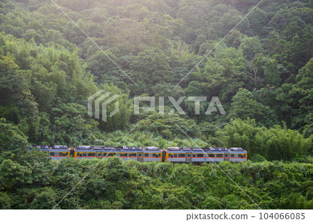 A yellow diesel train is driving in the mountains and forests. 104066085