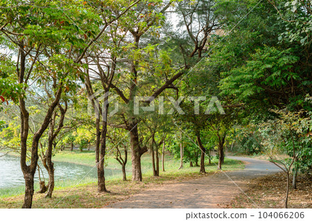 Taitung Forest Park in Taitung, Taiwan 104066206