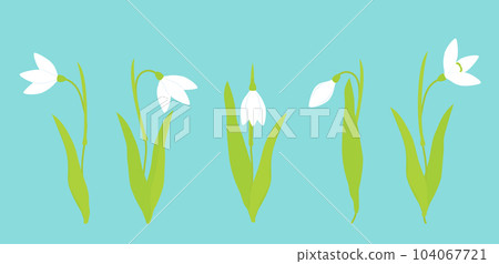 Vector illustration. kit. Snowdrop flowers in a blue carpet. Spring composition Vector illustration. kit. Snowdrop flowers in a blue carpet. Spring composition 104067721