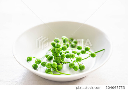 Sansho fruit 104067753