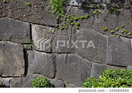 Stone wall found in the wild garden 1 Stone wall found in the wild garden 1 104068460